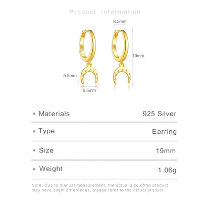 Airplane Drop Earrings